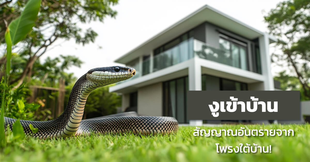 งูเข้าบ้าน